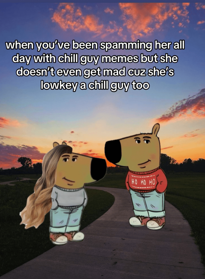 A TikTok still of two anthropromorphic dogs, one dressed as a girl, one as a guy, in the forefront of a sunset. The caption reads," when you've been spamming her all day with chill guy memes but she doesn't even get mad cuz she's lowkey a chill guy too"