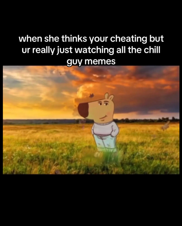 An anthropromorphic dog in a grey sweater and jeans with his hands in his pockets, in a beautiful field. The caption reads "when she thinks you're cheating but ur really just watching all the chill guy memes"