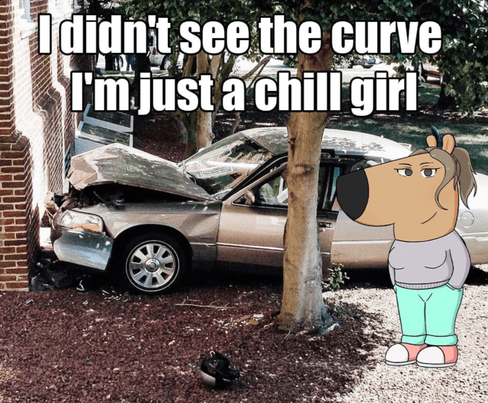 An anthropromorphic dog in a grey sweater and jeans withher hands in her pockets,and a ponytail. She's standign next to a crashed car. The Caption reads "I didn't see the curve, I'm just a chill girl."