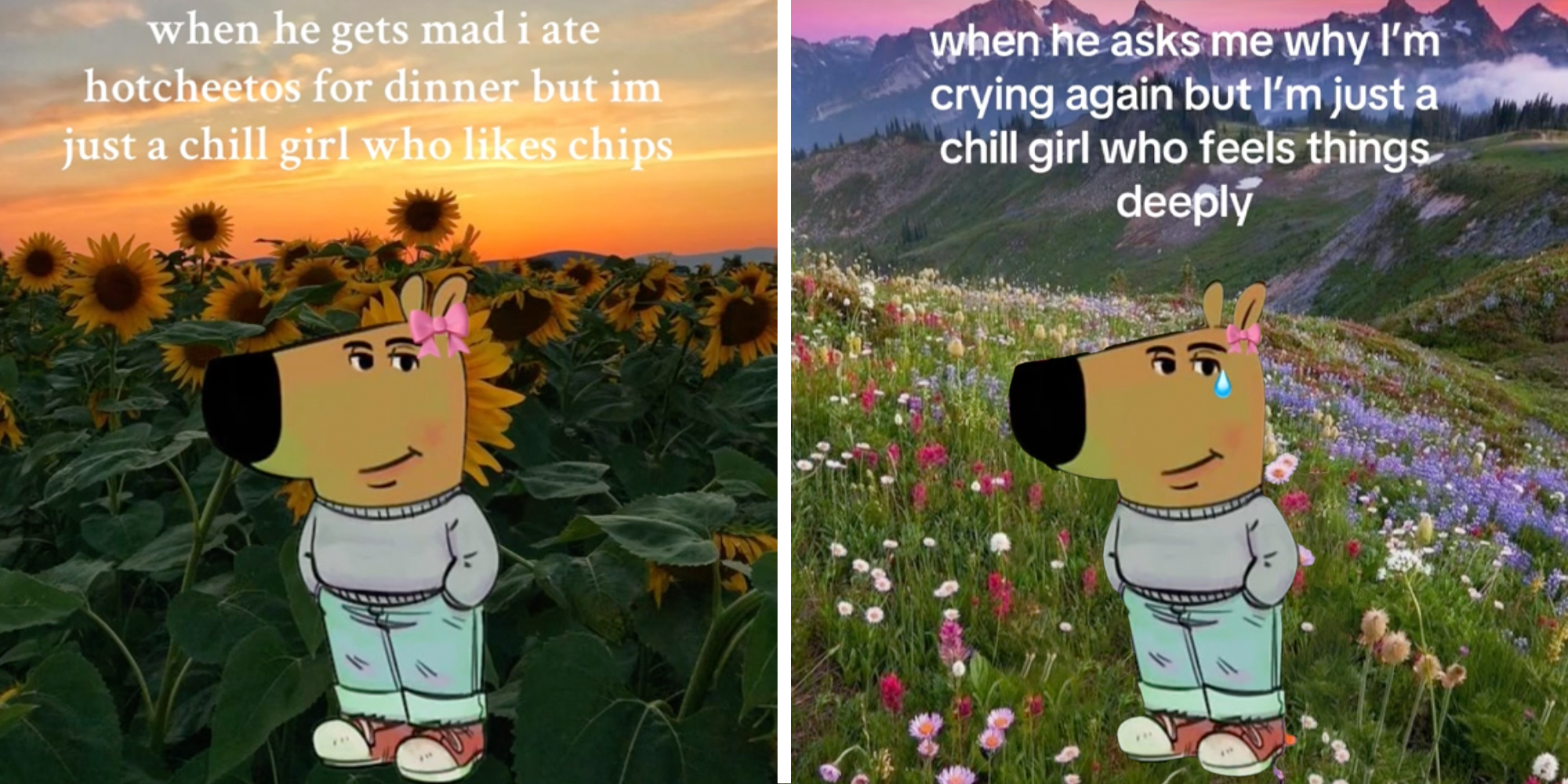 Just A Chill Girl Memes: A Girly Reply To Just A Chill Guy Memes