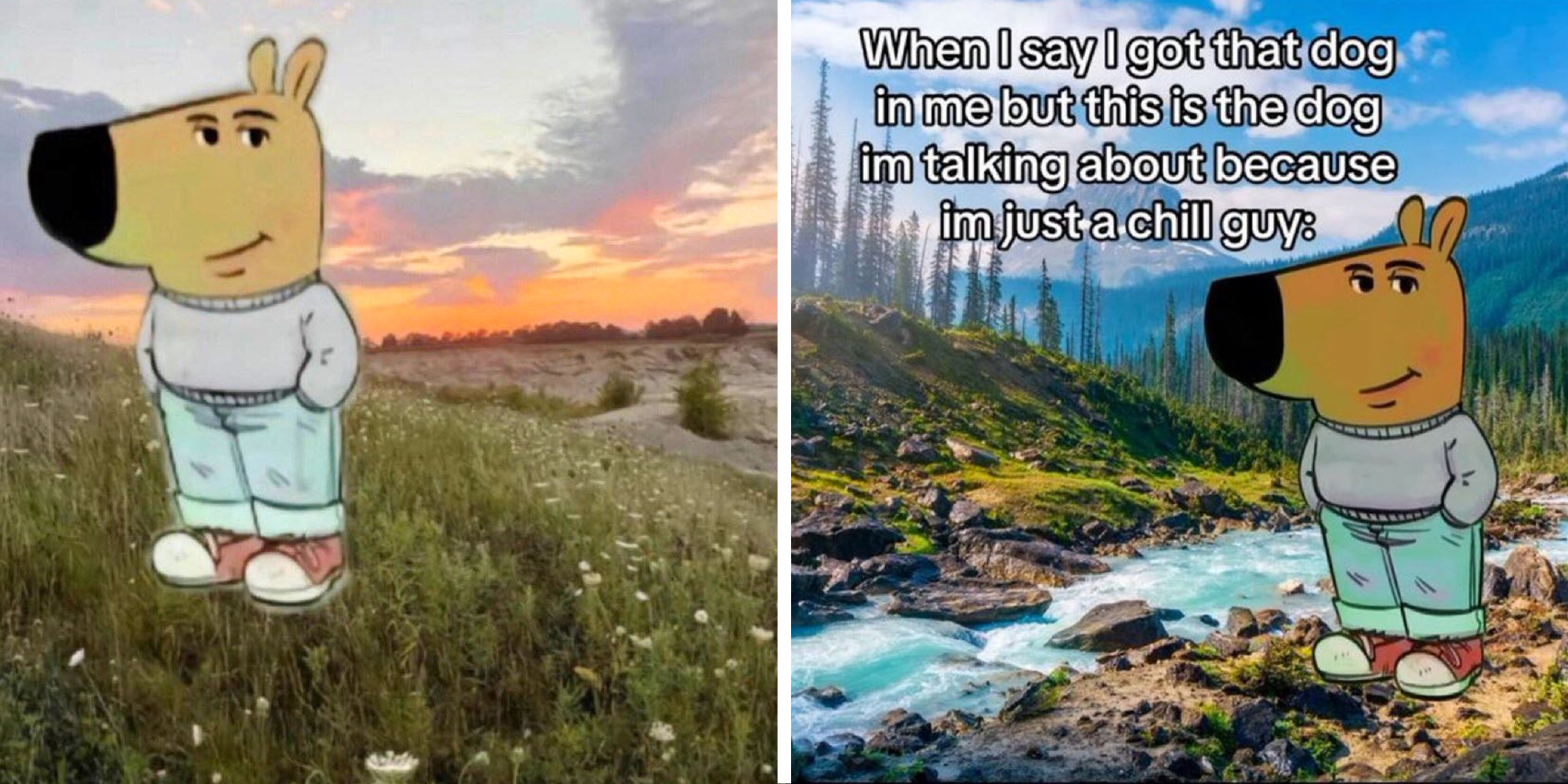 Chill guy meme in a field(l), Chill guy by a river with text that says "When I say I got that dog in me but this is the dog im talking about because im just a chill guy"(r)