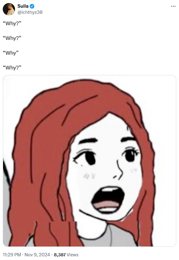 Daughterjak meme asking "why" over and over.