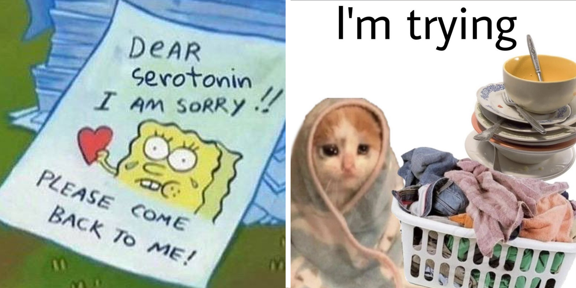 Letter with spongebob that says "Dear Serotonin I am sorry!!! PLease come back"(l), Cat in towel crying with laundry in basket and stacked up dishes and text that says "i'm trying"(r)