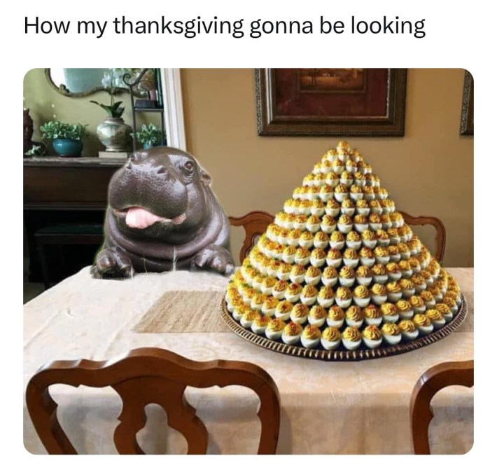 deviled eggs meme with a pyramid stack of deviled eggs and a photo of Moo Deng with her tongue sticking out. Text reads, "How my thanksgiving gonna be looking."