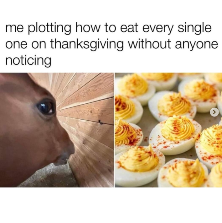 deviled eggs meme of a horse side eyeing and a photo of deviled eggs. Text reads, "Me plotting how to eat every single one on thanksgiving without anyone noticing."