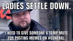 "ladies settle down, i need to give someone a temp mute for posting memes on #general"