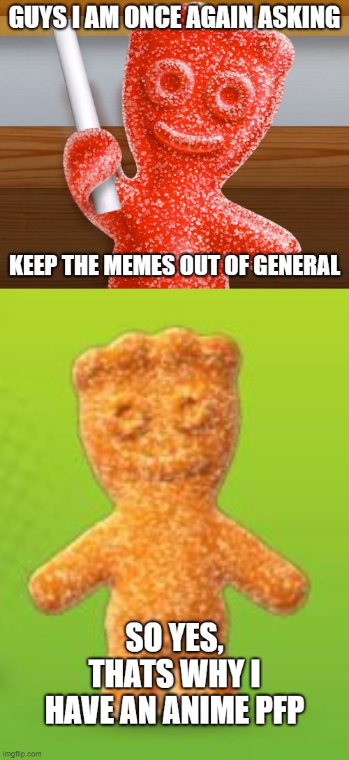 "mods: guys i am once again asking keep the memes out of general, so yes thats why i have an anime pfp"