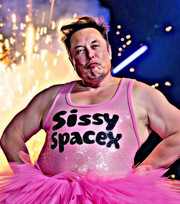 AI image of the Tesla CEO in a tutu reading "Sissy SpaceX."