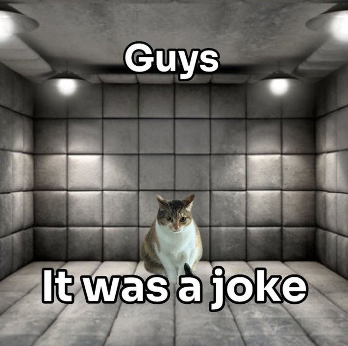 Funny cat meme of a cat in a padded cell, text overlay reads, "Guys it was a joke."