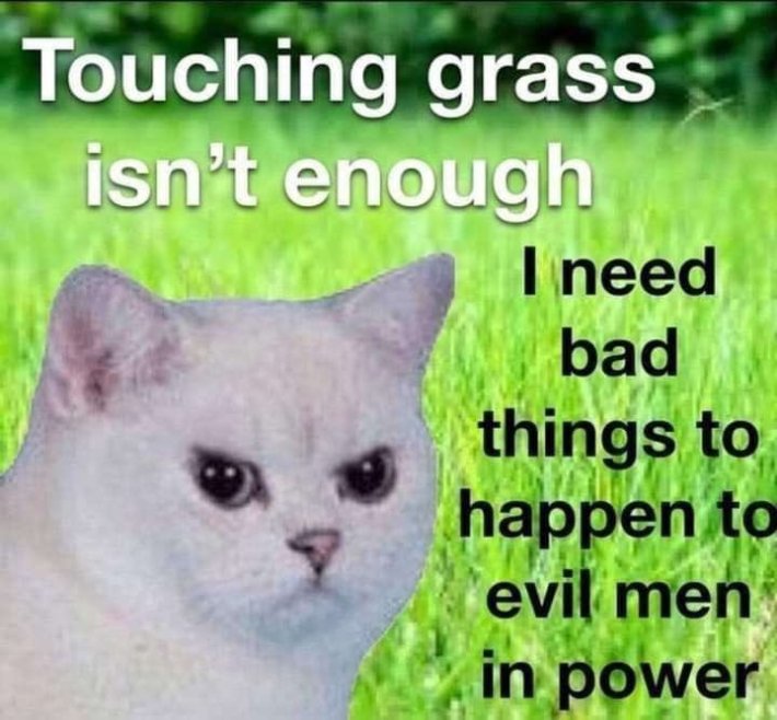 Funny cat meme with an angry cat over an image of grass. "Touching grass isn't enough. I need bad things to happen to evil men in power."