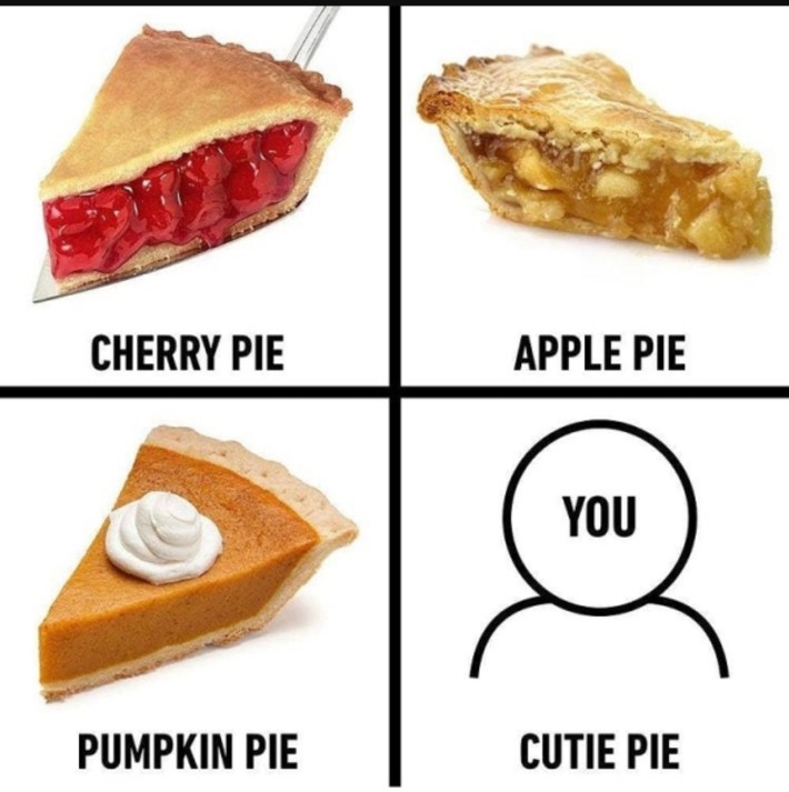 Funny Thanksgiving meme with four panels: three pies and then a stick figure with "YOU" over its face that says "cutie pie"
