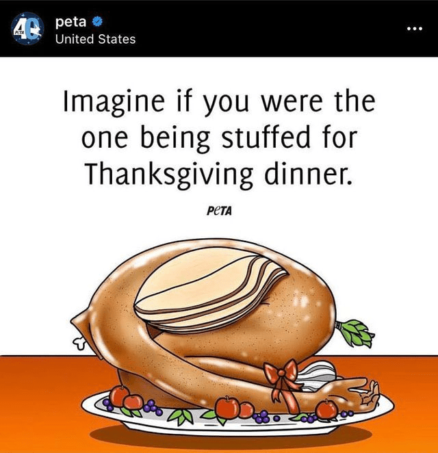 Funny Thanksgiving meme, a screenshot from PETA with text that reads, "Imagine if you were the one being stuffed for Thanksgiving dinner."
