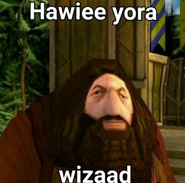 hawiee yora wizaaad ps1 hagrid