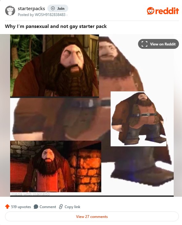 "why i'm pansexual and not gay starter pack" ps1 hagrid