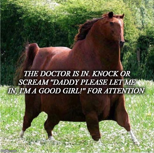"the doctor is in kock or scream 'daddy please let me in, i'm a good girl' for attention
