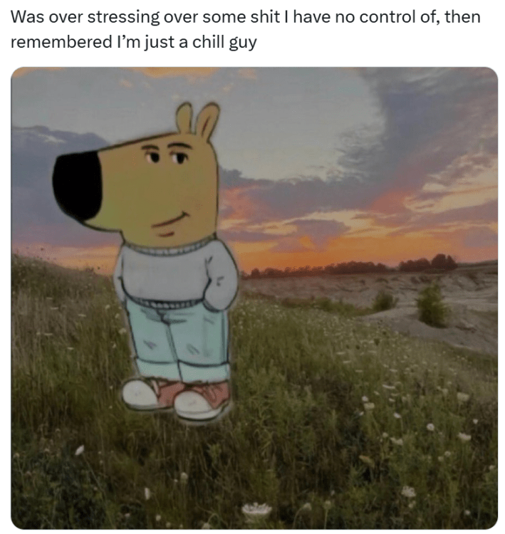"Was over stressing over some shit I have no control of, then remembered I’m just a chill guy"