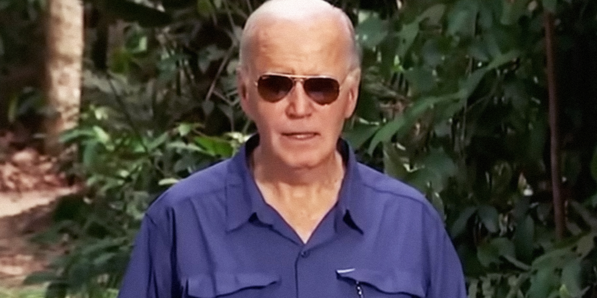Joe Biden in a rainforest