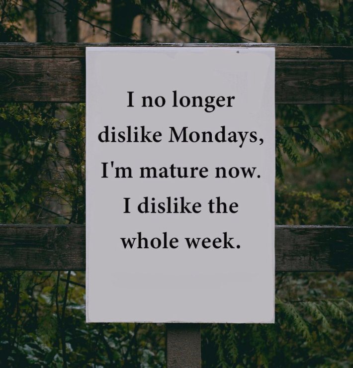 Monday meme that reads, "I no longer dislike Mondays, I'm mature now. I dislike the whole week."