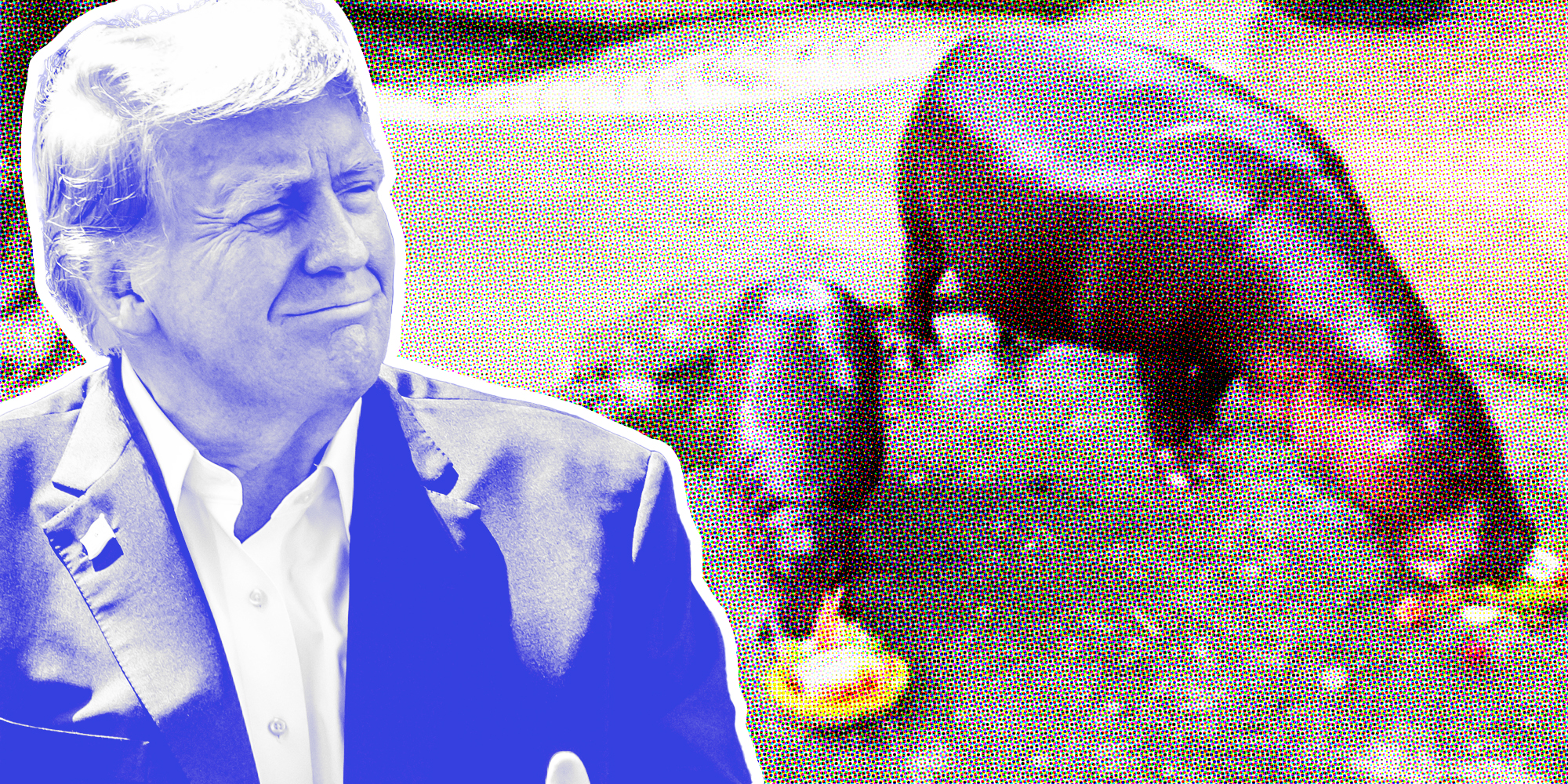 Donald Trump over Moo Deng and parents eating to predict election