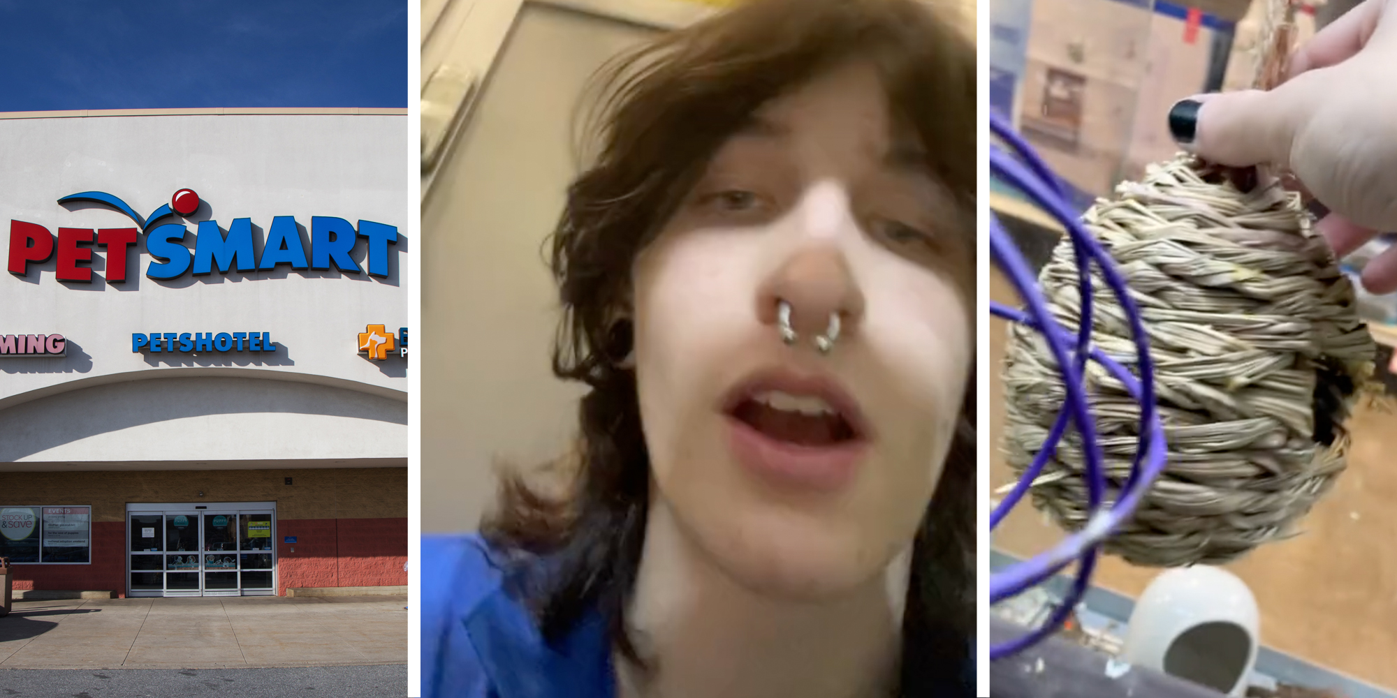 PetSmart storefront(l), Man talking(c), Birds nest(r)