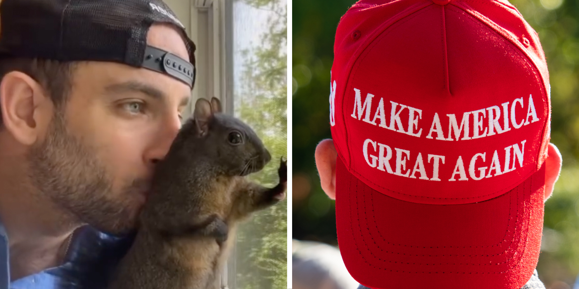 Man kissing Peter the Squirrel(l), Person wearing backwards MAGA hat(r)