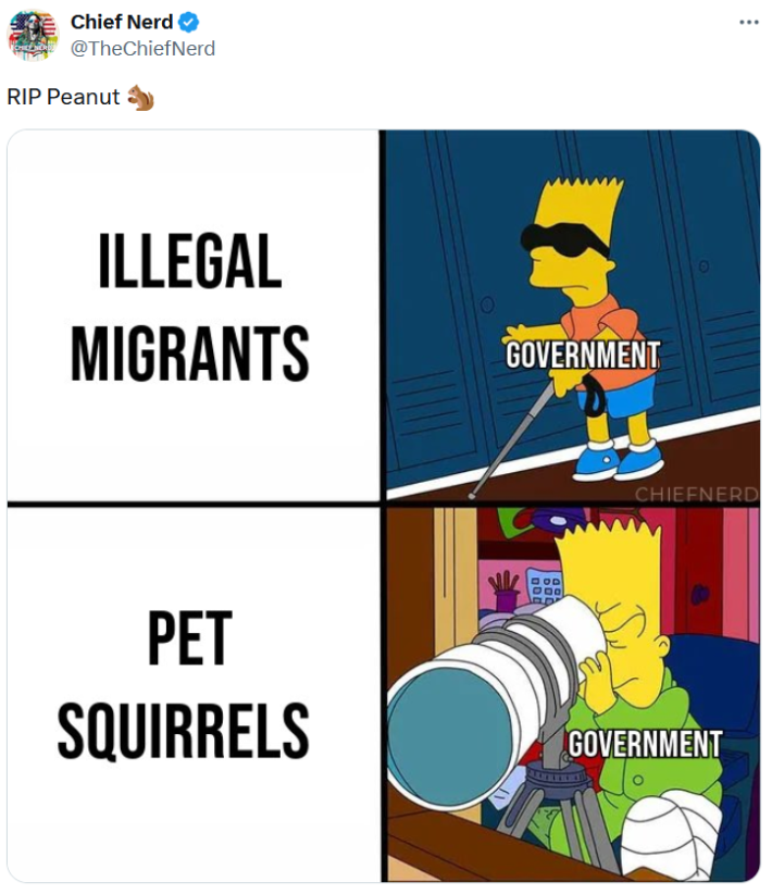 Peanut meme showing Bart Simpson blind and then him using a telescope, both labeled "government."