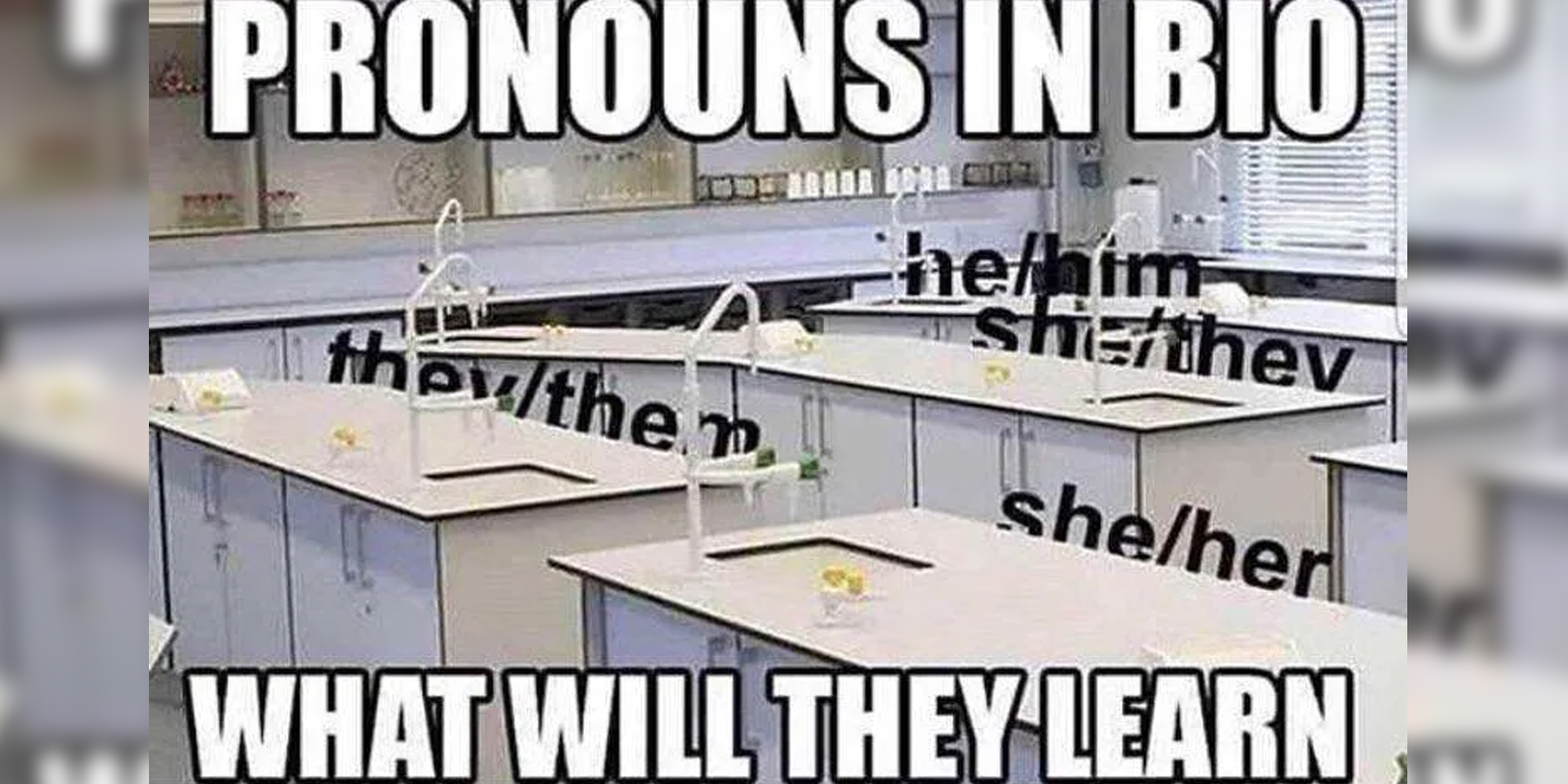 Bio classroom with pronouns behind the tables and text that says "pronouns in bio - what will they learn"