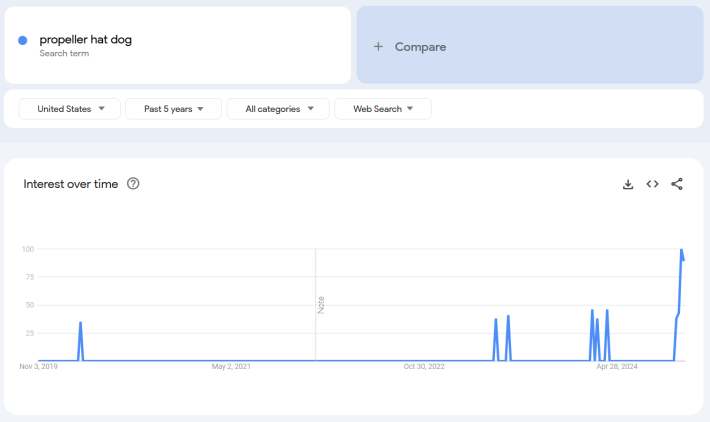 Google Trends report for the term "propeller hat dog."