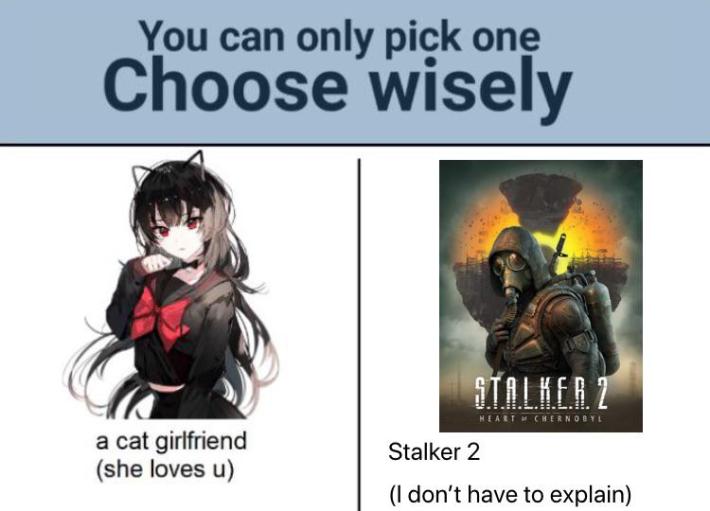 Stalker 2 meme with a "choose wisely" split of cat girlfriend vs Stalker 2.