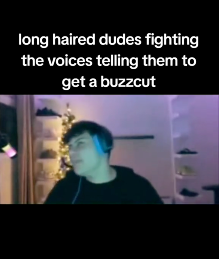 stay in the box meme video