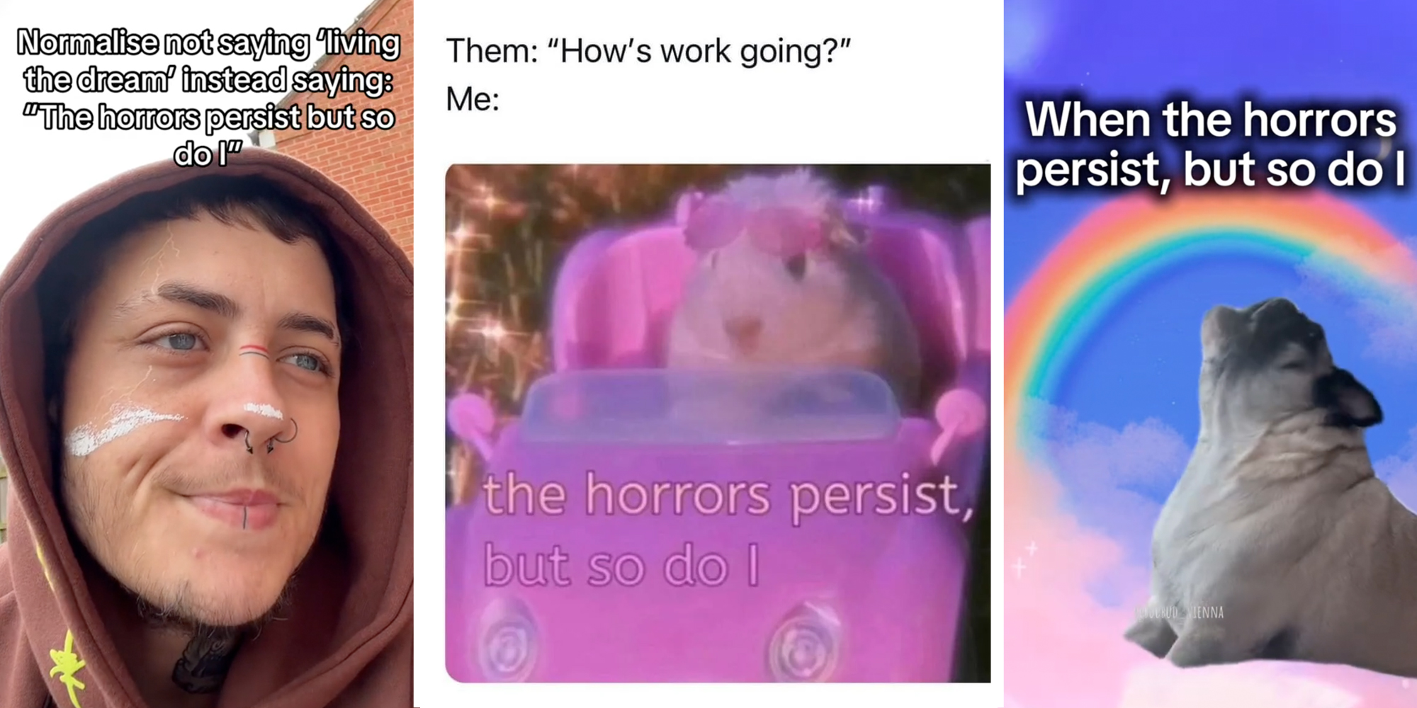 Person with paint on their face and text that says "normalise not saying 'Living the dream" instead saying: "the horrors persist but so do i",(l), Gerbil in car with text that says "Them: How's work going? Me: The horrors persist but so do i"(c), Dog howling under rainbow on pink clouds with text that says "when the horrors persist, but so do i"(r)