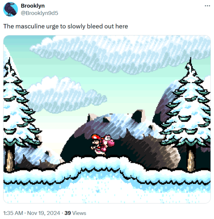 The Masculine Urge To Slowly Bleed Out Here meme with a screenshot from Yoshi's Story.