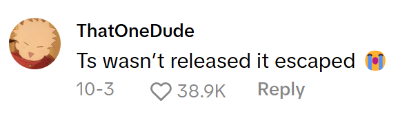 TikTok comment that reads, "Ts wasn't released it escaped (sob emoji)"