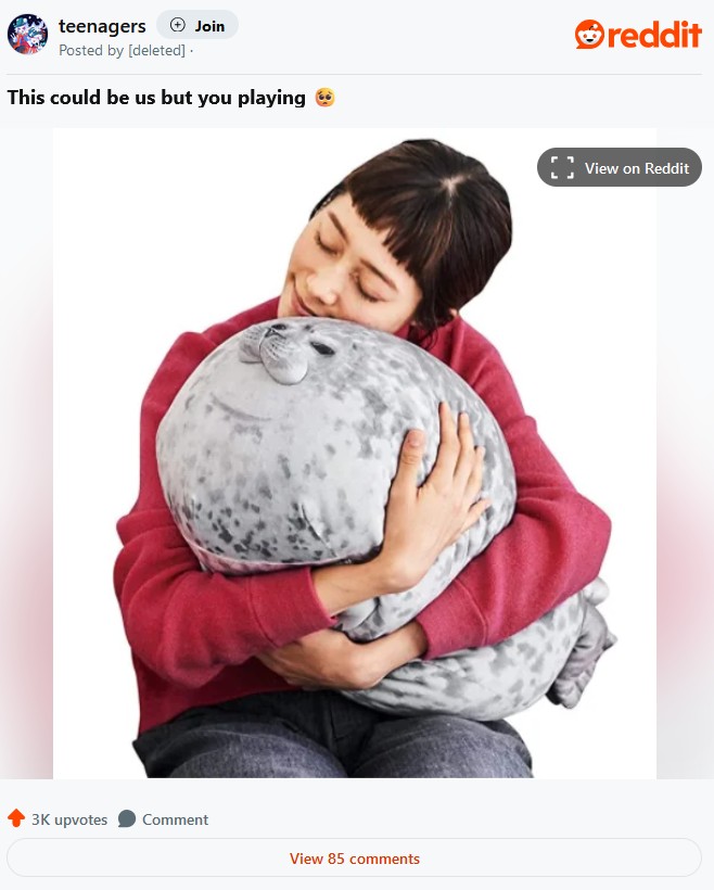 woman hugging pillow seal this could be us