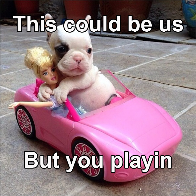puppy hugging barbie doll in pink toy convertible "this could be us but you playin"
