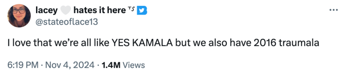 Voting day memes for the 2024 election.