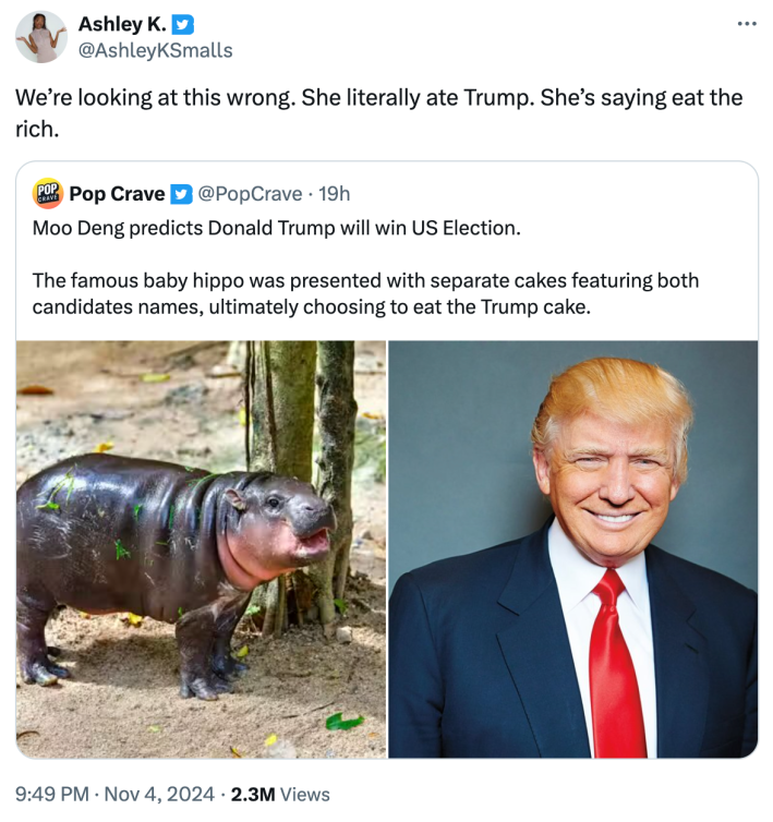 Voting day memes for the 2024 election.