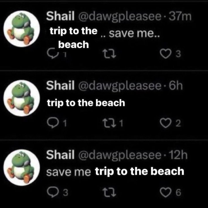 save me trip to the beach meme