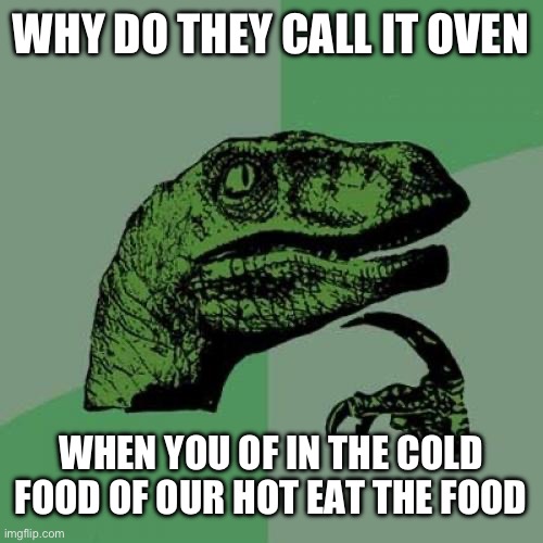 philosoraptor "why do they call it oven when you of in the cold food of our hot eat the food"