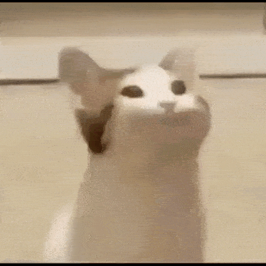 Womp Womp Examples Where Did The Womp Womp Meme Come From?