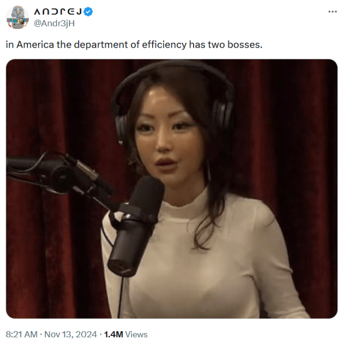 Yeonmi Park meme about the upcoming U.S. Department of Efficiency.