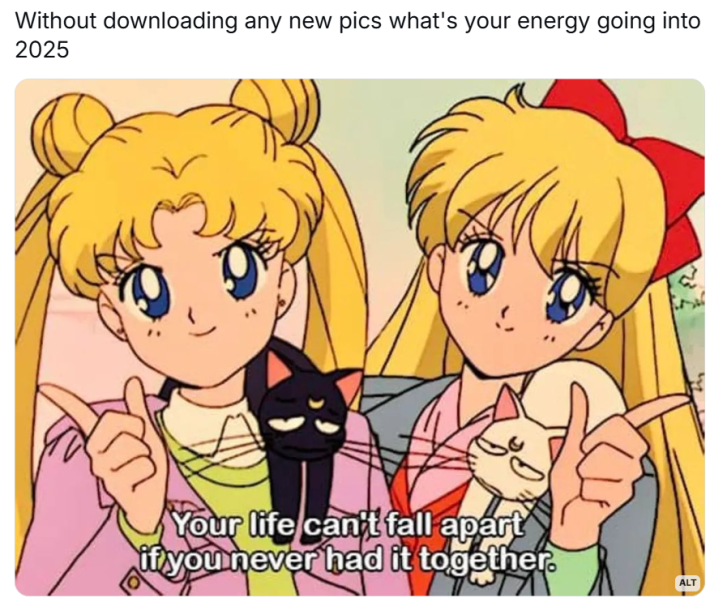 New year memes, text reads, "Without downloading any new pics what's your energy going into 2025" with a screencap of Sailor Moon and Sailor Venus, Luna and Artemis on their shoulders looking exhausted. The Sailor Scouts are saying, "Your life can't fall apart if you never had it together."