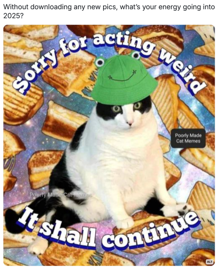 New year memes, text reads, "Without downloading any new pics, what’s your energy going into 2025?" with a photoshopped image of a cat wearing a frog bucket hat over a background of grilled cheese sandwiches and a galaxy. Text reads, "Sorry for acting weird. It shall continue."