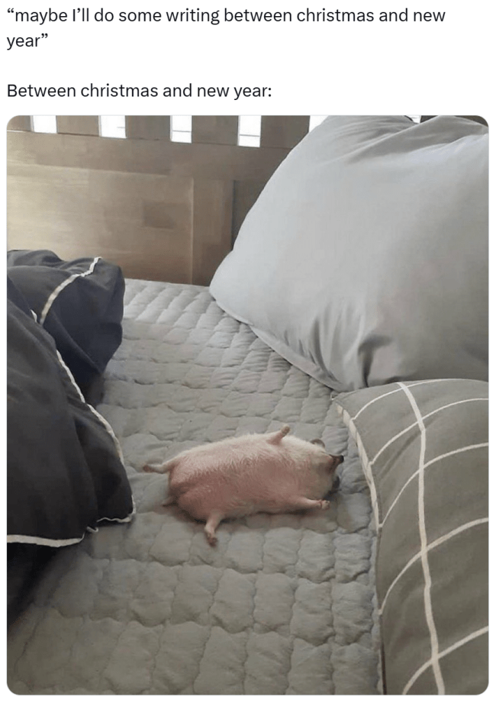 New year memes, text reads, "'maybe I’ll do some writing between christmas and new year' Between christmas and new year:" a photo of a hedgehog on its back on a full size bed.