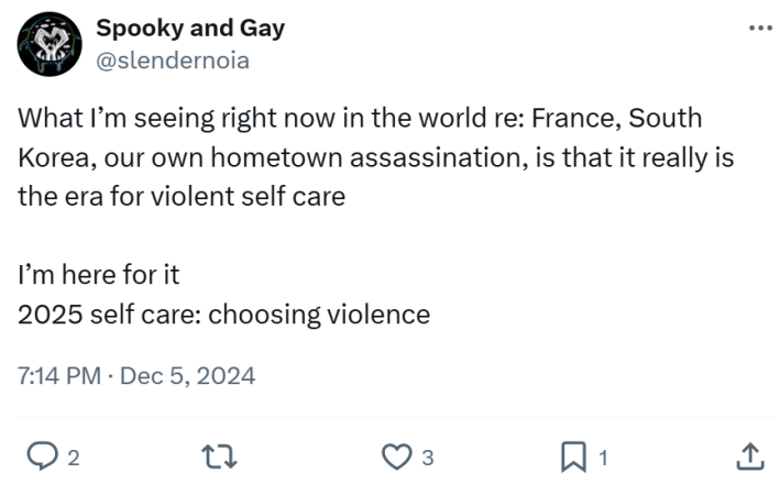 New year memes, text reads, "What I’m seeing right now in the world re: France, South Korea, our own hometown assassination, is that it really is the era for violent self care I’m here for it 2025 self care: choosing violence"
