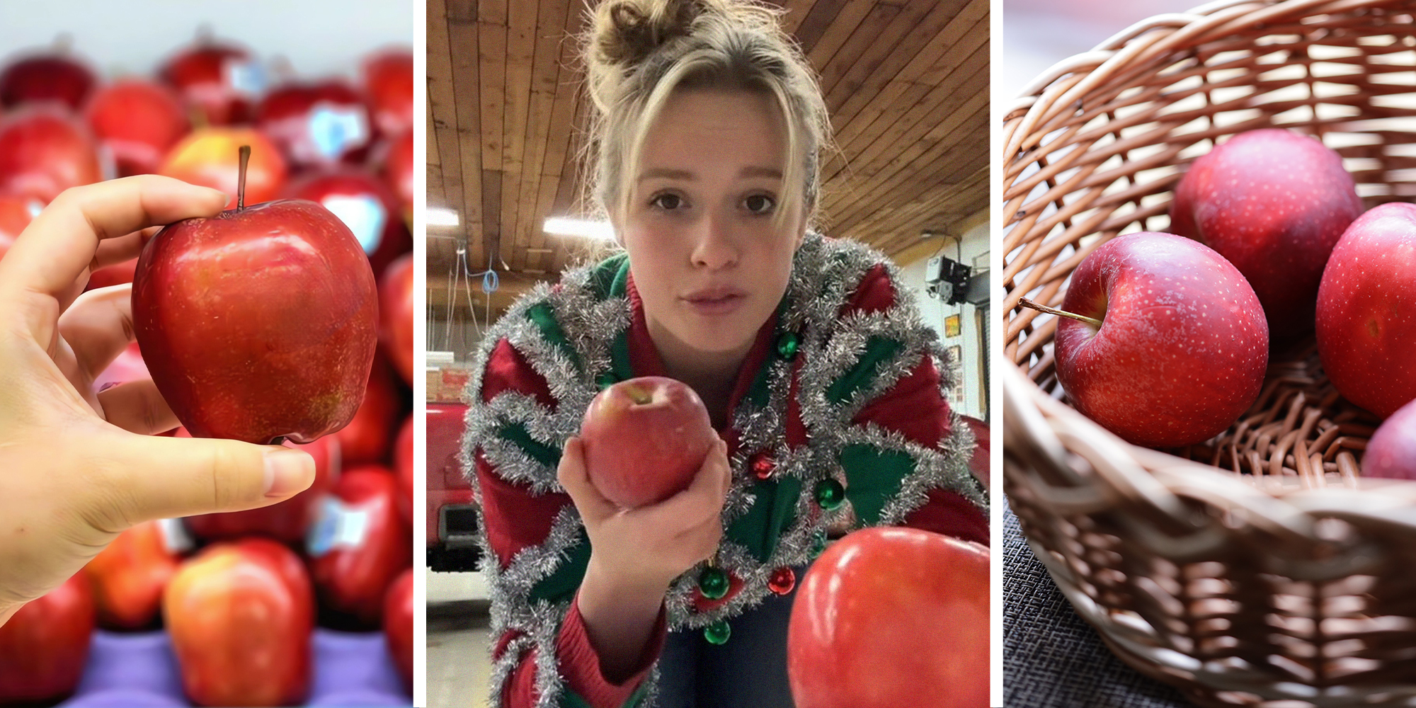 Person Holding Apple(l) Woman comparing apples(c) Basket of Apples(r)