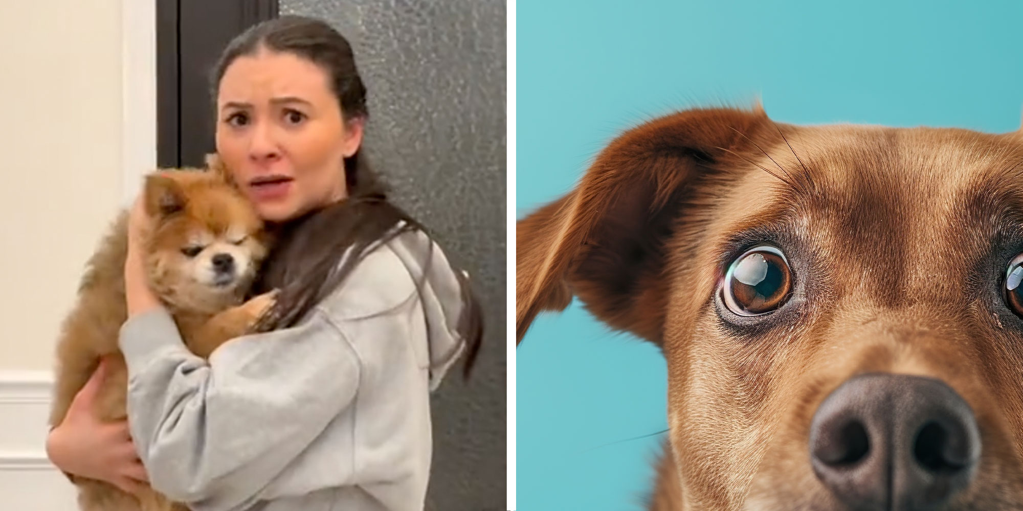 two panel design with a woman holding her dog close to her, next to an image of a dog looking concerned.