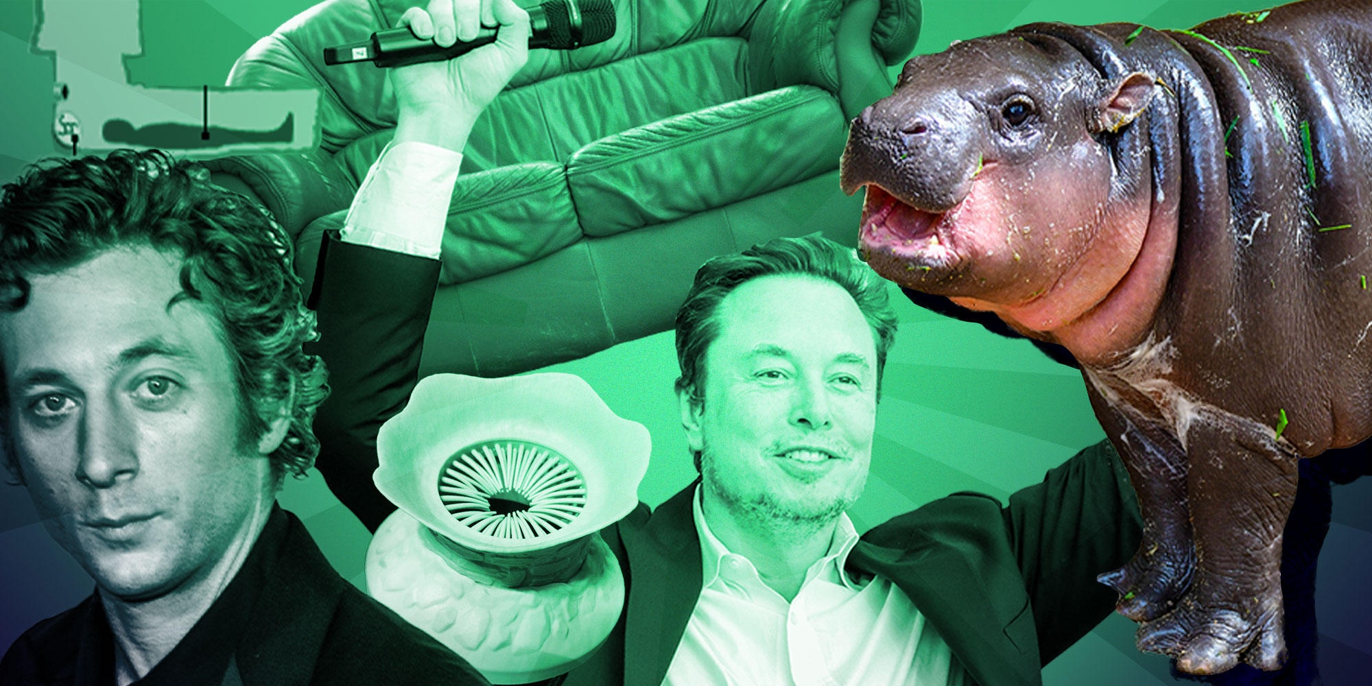 design featuring Jeremy Allen White, Elon Musk, Moo Deng, a sofa, the popcorn bucket for Dune and an image of where Suddam Hussain was hiding