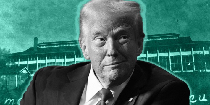 Donald Trump with teal Background