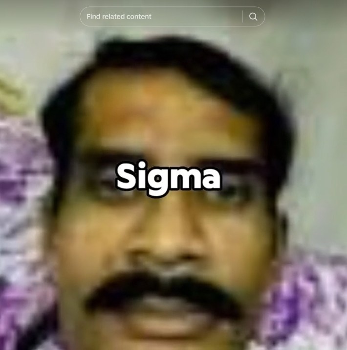 sigma amir meme